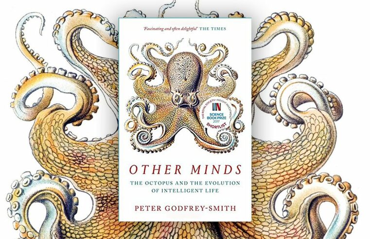 La conciencia del pulpo: Crítica de Otras mentes. El pulpo, el mar y los profundos orígenes de la consciencia, de Peter Godfrey-Smith