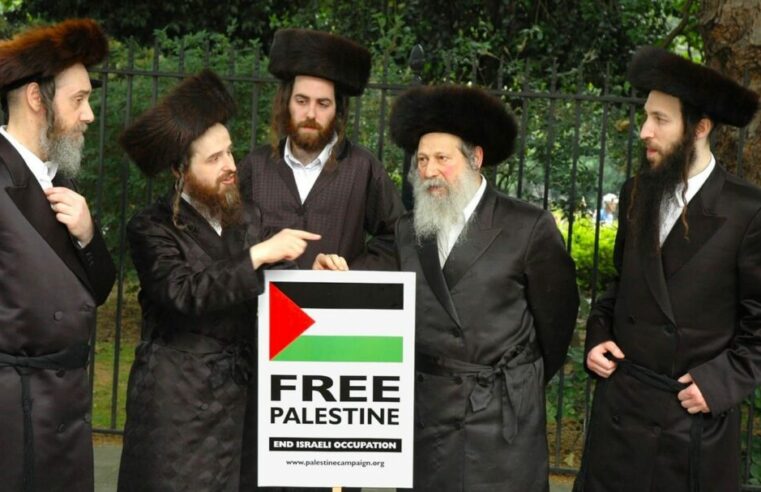 ¡NI EL ANTISEMITISMO NI LA XENOFOBIA SON LA RESPUESTA EN LA LUCHA CONTRA EL GENOCIDIO EN PALESTINA!